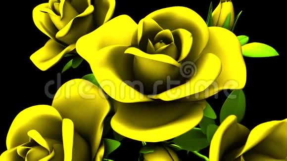黑色背景上的黄色玫瑰花束视频的预览图