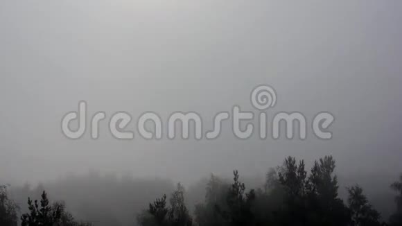 秋天的晨雾视频的预览图