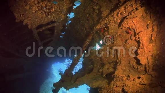 红海海底的沉船视频的预览图