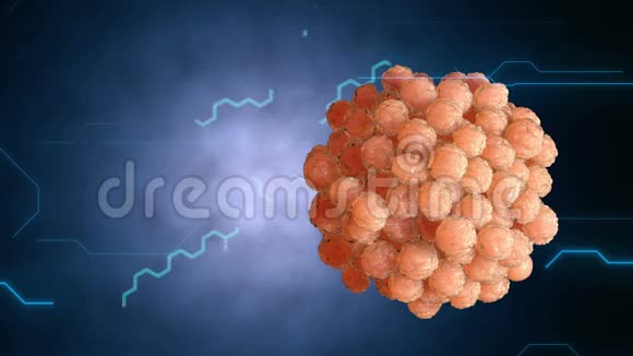 精子精子使细胞卵受精医学概念解剖未来哈德未来主义背景视频的预览图