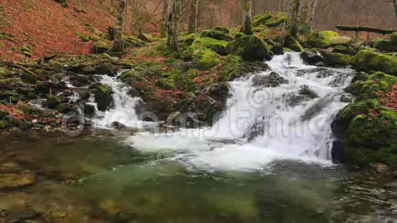 高山瀑布视频的预览图