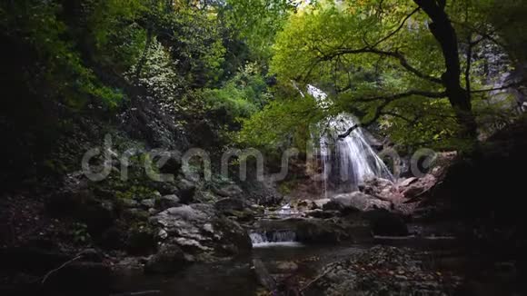 森林中的瀑布森林中瀑布的美丽景色视频的预览图