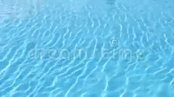 水的运动游泳池的蓝水视频的预览图