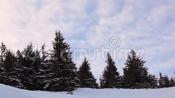 冰雪覆盖公园的冬季景观视频的预览图