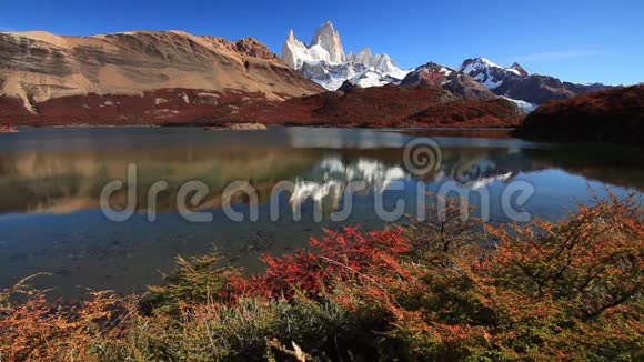 巴塔哥尼亚的秋天菲茨罗伊阿根廷视频的预览图