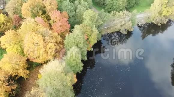 乌尔布罗卡湖空中无人机顶景4K超高清视频拉脱维亚视频的预览图