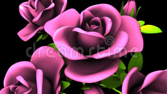黑色背景上的粉色玫瑰花束视频的预览图