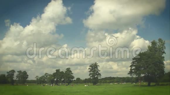荷兰风景视频的预览图