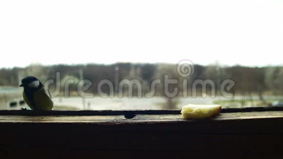 木制窗台子上的鸟食面包视频的预览图