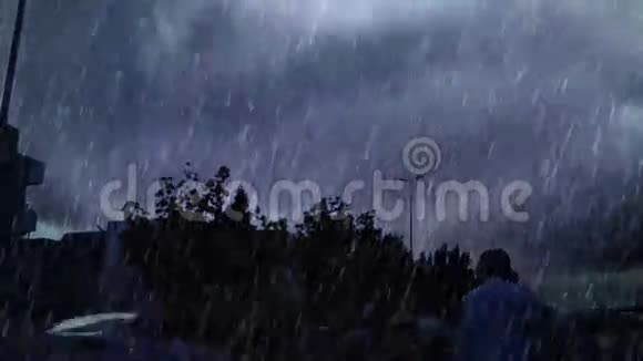 满街的大雨和树木视频的预览图