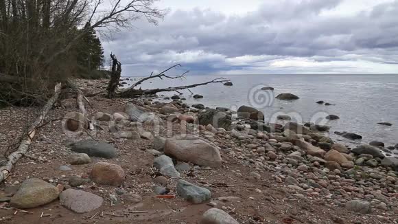 波罗的海海岸海滩KurzemeRoja视频的预览图