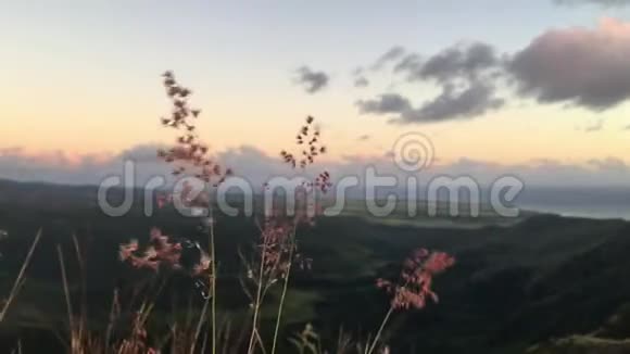 夏威夷考艾岛日落时威美亚附近的威美亚峡谷地平线上尼豪岛的景色视频的预览图