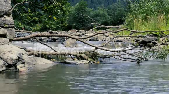 有树木和河流的自然景观视频的预览图
