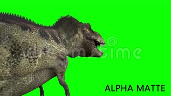 绿色屏幕上的恐龙动画真实渲染和运动视频的预览图