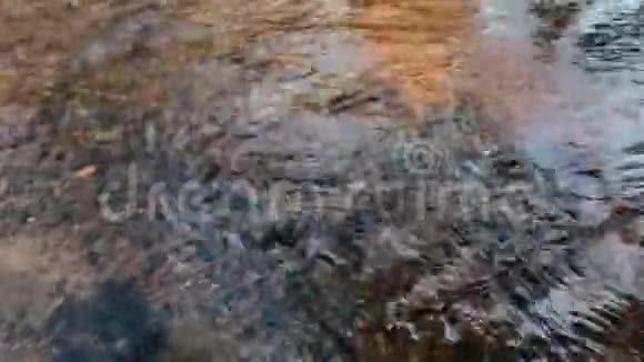 早春河的运动视频的预览图