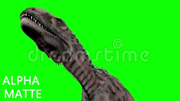 绿色屏幕上的恐龙动画真实渲染和运动视频的预览图