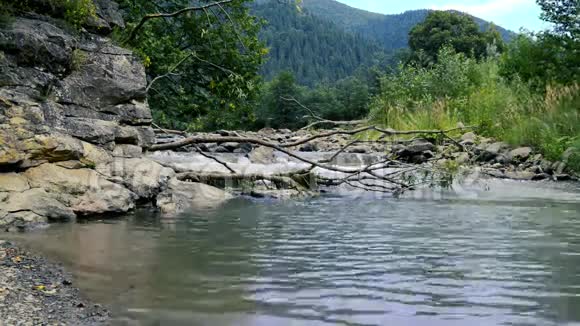 有树木和河流的自然景观视频的预览图