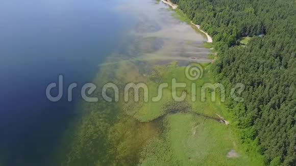 立陶宛国家水资源储备航空无人机顶景4KUHD视频视频的预览图