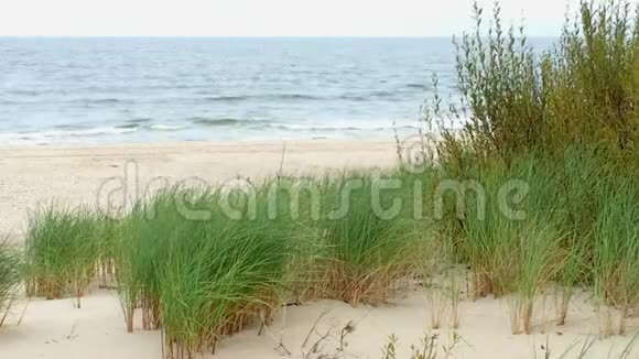 波罗的海波兰乌斯特卡海滩视频的预览图