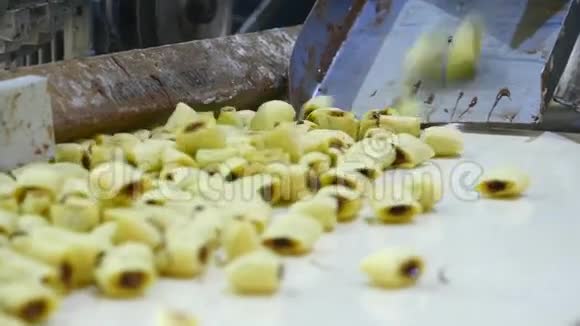 工厂的小吃和饼干生产视频的预览图