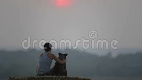 有狗的年轻女人在田里散步的女孩视频的预览图