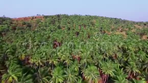 印度果阿热带海滩鸟瞰图视频的预览图