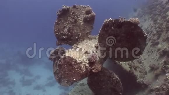 埃及海底SalemExpress沉船视频的预览图