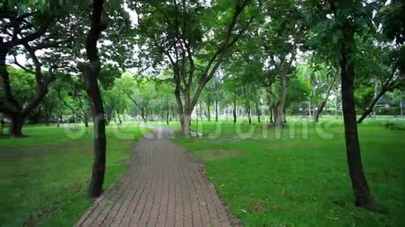 公园里绿树成荫高清1920x1080视频的预览图