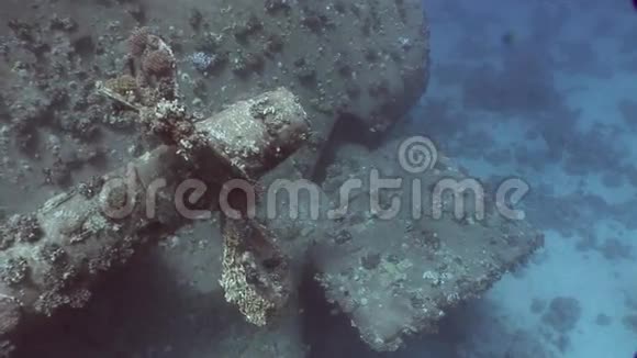 埃及海底沉船SalemExpress视频的预览图