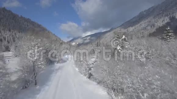 飞越雪山森林视频的预览图
