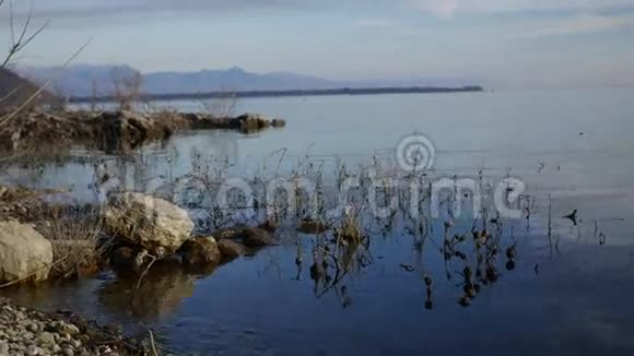 黑山的斯卡达尔湖巴最大的淡水湖视频的预览图