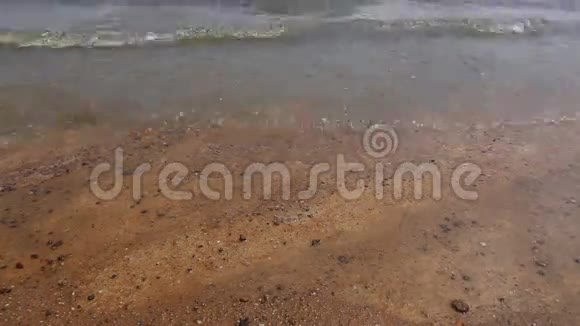 雷昂的海滩浪视频的预览图