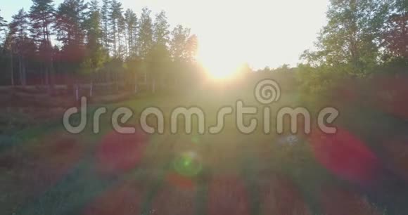 日落时飞越夏季森林和河流视频的预览图