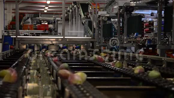芒果包装工业生产线视频的预览图