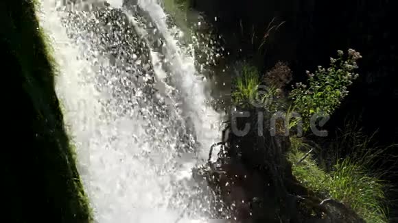 详细查看美丽的瀑布在普利特维国家公园克罗地亚视频的预览图