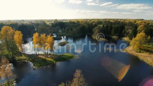 五彩缤纷的秋景自然背景视频的预览图