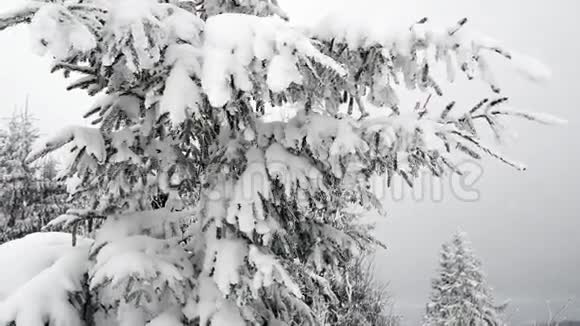 卡尔帕坦山脉的冬季暴风雪视频的预览图