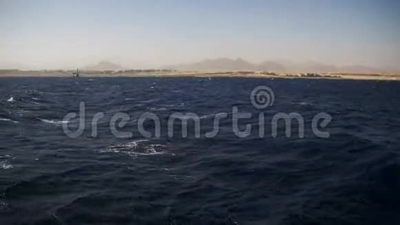 在红海的游船之旅欣赏埃及西奈半岛海岸视频的预览图