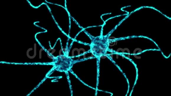 神经元系统线框网视频的预览图
