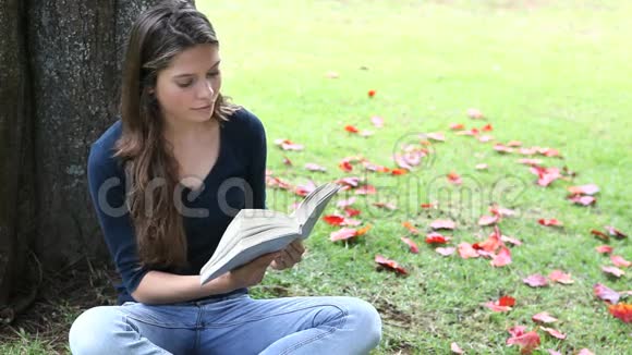在公园看书的女人视频的预览图