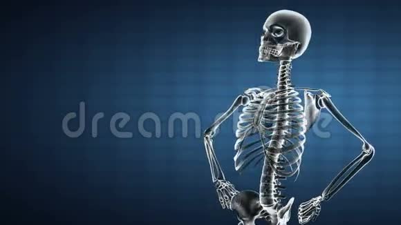 循环旋转人体骨骼站立视频的预览图