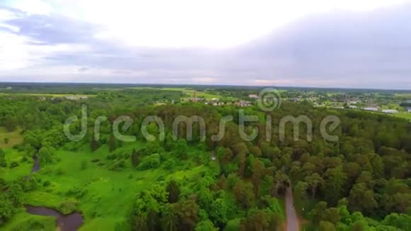 飞过一片绿色的森林空中镜头视频的预览图