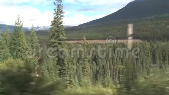 从多伦多到加拿大温哥华的火车上看视频的预览图