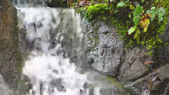 瀑布式瀑布视频的预览图