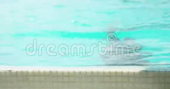 迷人的女人在游泳池游泳视频的预览图