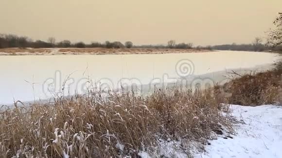 冬季景观全高清视频的预览图