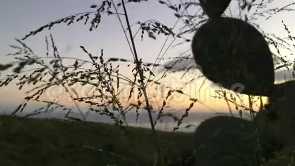 夏威夷考艾岛日落时凯卡哈附近的韦米亚峡谷地平线上的尼霍岛视频的预览图