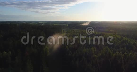 雾蒙蒙的森林鸟瞰飞过雾气视频的预览图
