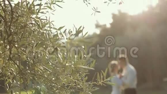 美丽的新娘和新郎站在公园里视频的预览图