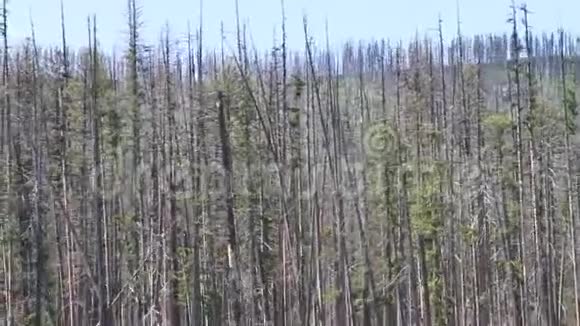 冰川国家公园蒙大拿州视频的预览图